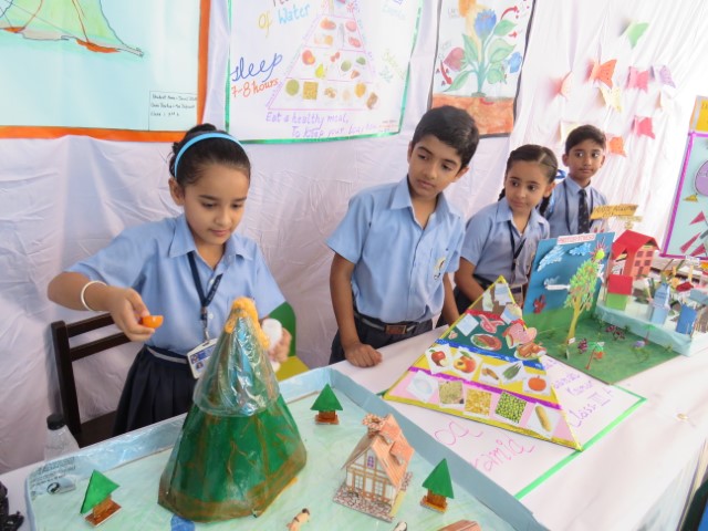 Science Fair Exhibition